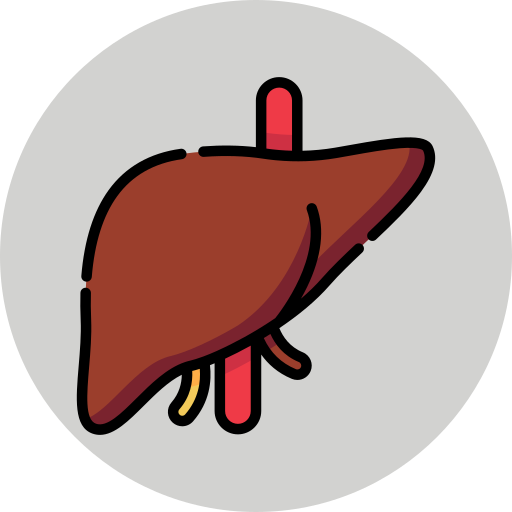 liver-pancreas-biliary-care