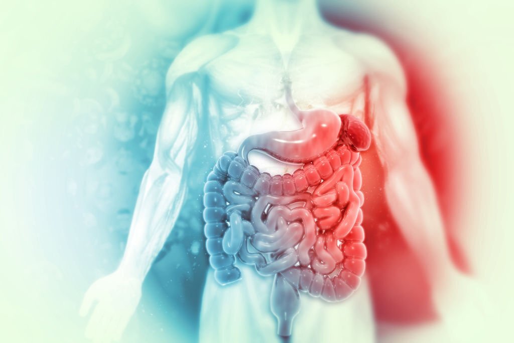 Does tobacco affect the digestive system Progress Gastro Care